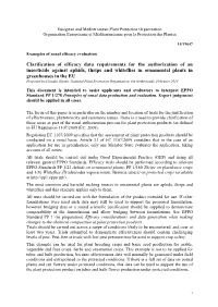 Data Requirements for the Authorisation of a New