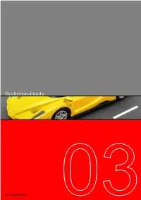 Evolution-Guide 2003