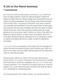 A Life on Our Planet Summary