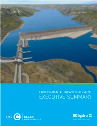 Environmental Impact Statement Executive Summary Table of Contents