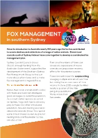 FOX MANAGEMENT Are Also at Risk