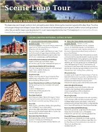 Scenic Loop Tour WWW