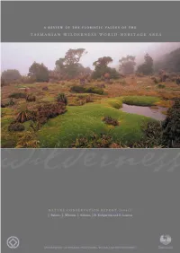 World Heritage Values and to Identify New Values