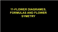 11-FLOWER DIAGRAMES, FORMULAS and FLOWER SYMETRY FLOWER FORMULAS and DIAGRAMES