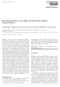 Diversification Pattern of the HMG and SOX Family Members During Evolution