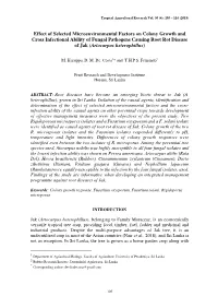 Effect of Selected Microenvironmental Factors on Colony Growth And