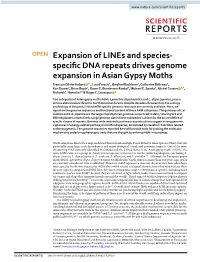 Expansion of Lines and Species-Specific DNA Repeats