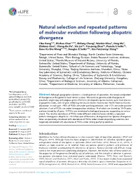 Natural Selection and Repeated Patterns of Molecular Evolution
