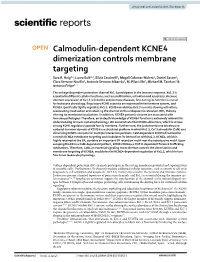 Calmodulin-Dependent KCNE4 Dimerization Controls Membrane