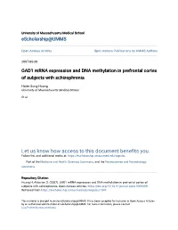 GAD1 Mrna Expression and DNA Methylation in Prefrontal Cortex of Subjects with Schizophrenia
