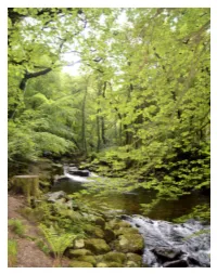 Ivybridge Pools Circular