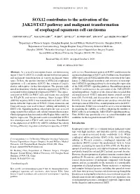 SOX12 Contributes to the Activation of the JAK2/STAT3 Pathway and Malignant Transformation of Esophageal Squamous Cell Carcinoma