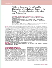 Williams Syndrome As a Model for Elucidation of the Pathway Genes – the Brain – Cognitive Functions: Genetics and Epigenetics
