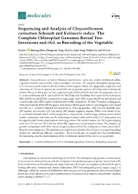 Sequencing and Analysis of Chrysanthemum Carinatum Schousb and Kalimeris Indica