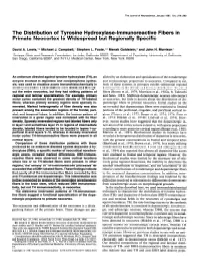 The Distribution of Tyrosine Hydroxylase-Lmmunoreactive Fibers in Primate Neocortex Is Widespread but Regionally Specific