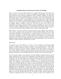 Ecological Features and Processes of Lakes and Wetlands