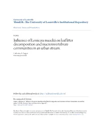 Influence of Lonicera Maackii on Leaf Litter Decomposition and Macroinvertebrate Communities in an Urban Stream