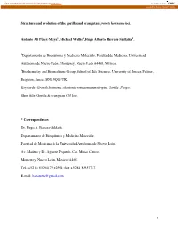 Structure and Evolution of the Gorilla and Orangutan Growth Hormone Loci