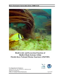 Biodiversity and Ecosystem Function of Shallowbank Systems Within