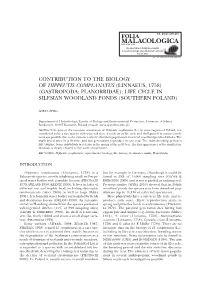 Contribution to the Biology of Hippeutis Complanatus (Linnaeus, 1758) (Gastropoda: Planorbidae): Life Cycle in Silesian Woodland Ponds (Southern Poland)