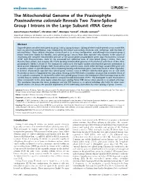 Prasinoderma Coloniale Reveals Two Trans-Spliced Group I Introns in the Large Subunit Rrna Gene