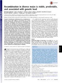 Recombination in Diverse Maize Is Stable, Predictable, and Associated with Genetic Load