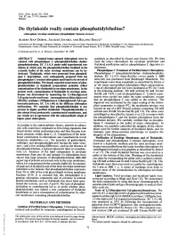Do Thylakoids Really Contain Phosphatidylcholine?