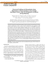 Flavonoid Profiling and Biosynthetic Gene Expression in Flesh and Peel