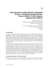 Assessment of Lepthosphaeria Polylepidis Decline in Polylepis Tarapacana Phil