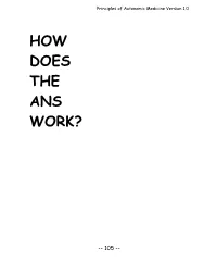 How Does the Ans Work?