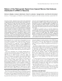 Nature of the Retrograde Signal from Injured Nerves That Induces Interleukin-6 Mrna in Neurons