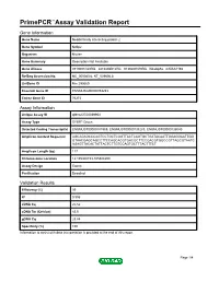 Primepcr™Assay Validation Report