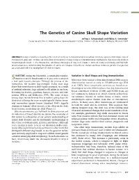 The Genetics of Canine Skull Shape Variation