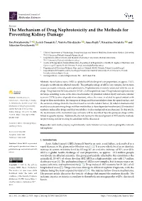 The Mechanism of Drug Nephrotoxicity and the Methods for Preventing Kidney Damage