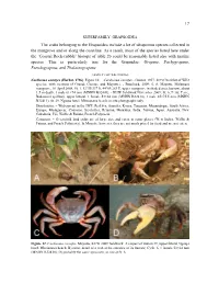 17 the Crabs Belonging to the Grapsoidea Include a Lot Of