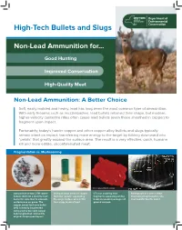 High Tech Bullets and Slugs