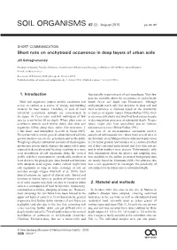 Short Note on Enchytraeid Occurrence in Deep Layers of Urban Soils
