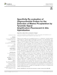 Specificity Re-Evaluation of Oligonucleotide Probes for the Detection of Marine Picoplankton by Tyramide Signal Amplification-Fl