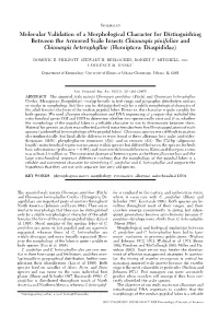 Molecular Validation of a Morphological Character for Distinguishing Between the Armored Scale Insects Chionaspis Pinifoliae