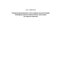 Testing Ecological Speciation in the Caribbean Octocoral Complex Antillogorgia Bipinnata-Kallos (Cnidaria: Octocorallia): an Integrative Approach