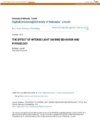 The Effect of Intense Light on Bird Behavior and Physiology