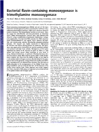 Bacterial Flavin-Containing Monooxygenase Is Trimethylamine Monooxygenase