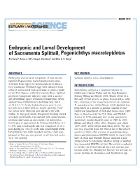 Embryonic and Larval Development of Sacramento Splittail, Pogonichthys Macrolepidotus Xin Deng1*, Swee J