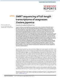 SMRT Sequencing of Full-Length Transcriptome of Seagrasses