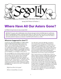Where Have All Our Asters Gone? by William R