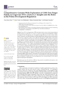 Comprehensive Genome-Wide Exploration of C2H2 Zinc Finger Family in Grapevine (Vitis Vinifera L.): Insights Into the Roles in the Pollen Development Regulation
