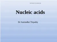 Nucleic Acid Notes