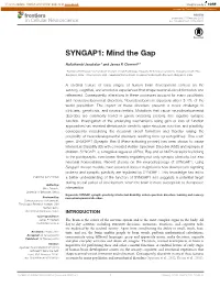 SYNGAP1: Mind the Gap