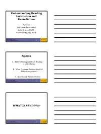 Understanding Reading Instruction and Remediation Agenda WHAT IS