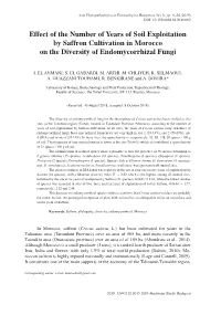 Effect of the Number of Years of Soil Exploitation by Saffron Cultivation in Morocco on the Diversity of Endomycorrhizal Fungi